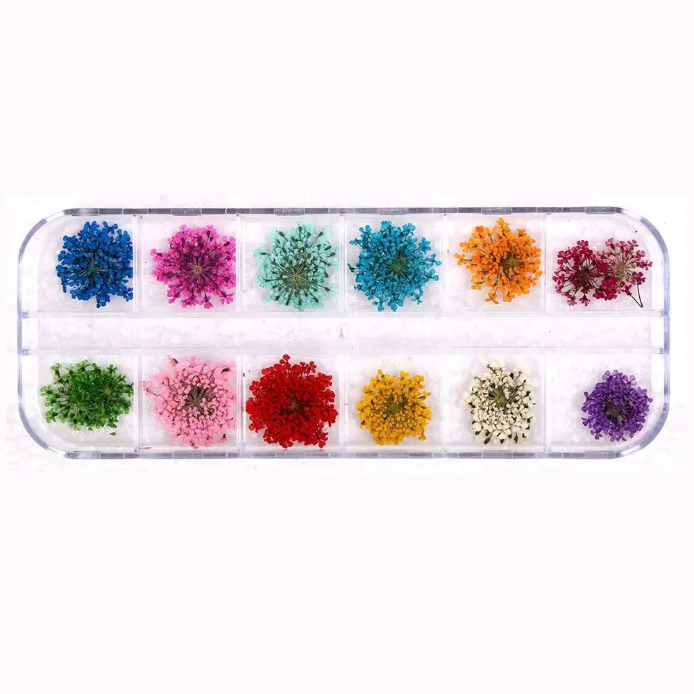 Hot Sale12 Piece/Set Dried Flower 3D Nail Art Decoration for Nail Art Design Accessories Manicure Tools Supplies Wholesale
Hot Sale12 Piece/Set Dried Flower 3D Nail Art Decoration for Nail Art Design Accessories Manicure Tools Supplies Wholesale