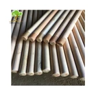 Wholesale Natural Wood Broom Sticks With Italian Thread Natural Wooden