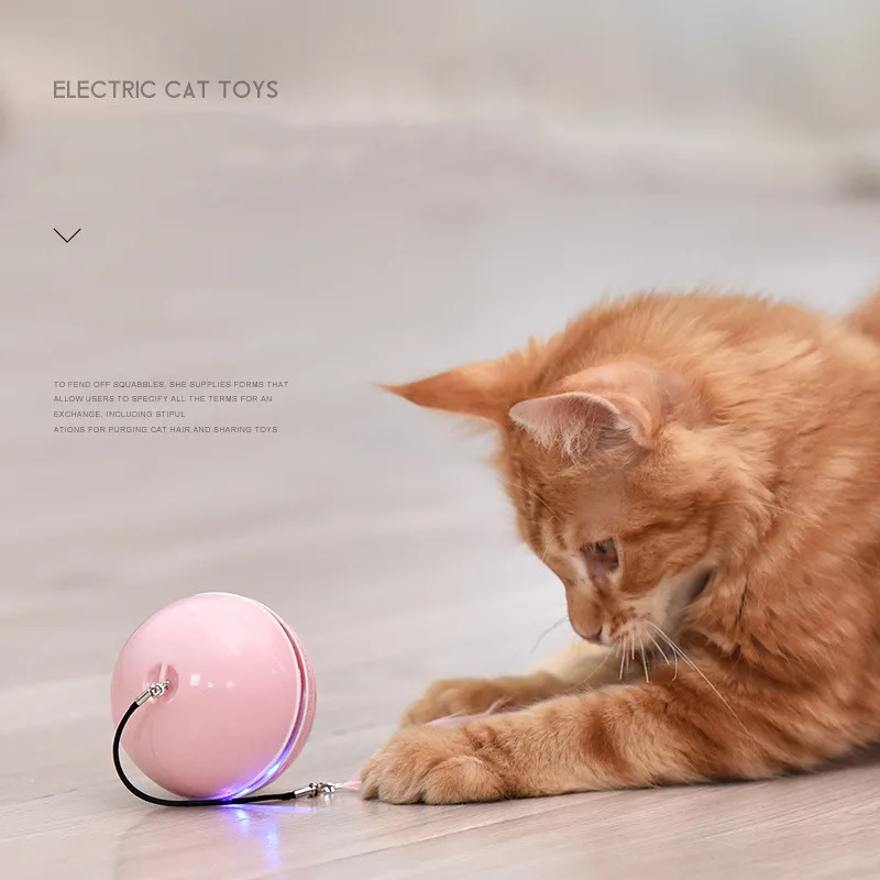 New USB Charging Self-hey Feather Funny Cat Ball Electric Cat Toy
New USB Charging Self-hey Feather Funny Cat Ball Electric Cat Toy