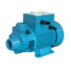 Solar photovoltaic brushless surface water pump