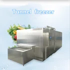 Tunnel Freezer Freeze Tunnel Freezer Iqf Tunnel Freezer Machine Freeze Drying Equipment Prices
