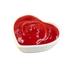 Hot Selling Canned Tomato Paste 70g*50 Tins Tomato Saucer Brix 28-30% Factory Price