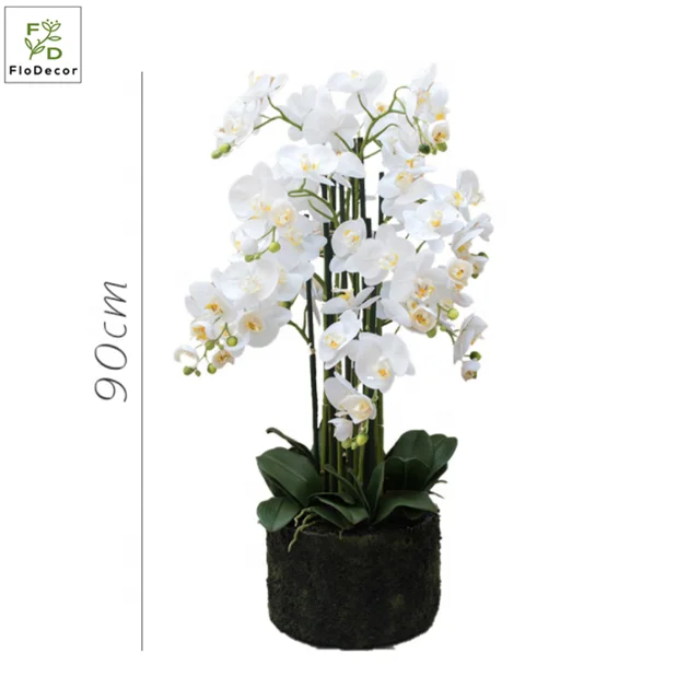High Quality Luxury Artificial Orchid Potted Plant Real Touch With Moss Base and Leaves For Home Table Decoration Design, White
High Quality Luxury Artificial Orchid Potted Plant Real Touch With Moss Base and Leaves For Home Table Decoration Design, White