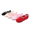 /product-detail/2019-professional-fashion-pink-canvas-flats-soft-shoes-cat-claw-shoes-best-ballet-shoes-for-girls-62221845681.html