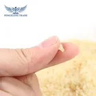 Food Grade Gelatin Bulk Edible Food Additives