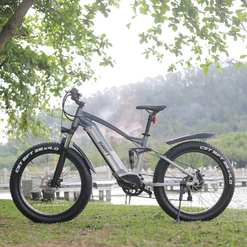 48V 14Ah Rear Drive 1000W Power E Bike Colorful Display Waterproof Electric Fat Tire Bike, Grey
48V 14Ah Rear Drive 1000W Power E Bike Colorful Display Waterproof Electric Fat Tire Bike, Grey