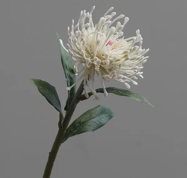 Y-H081INS Artificial flowers chrysanthemum flocking leucospermum pincushion for home wedding decoration
Y-H081INS Artificial flowers chrysanthemum flocking leucospermum pincushion for home wedding decoration