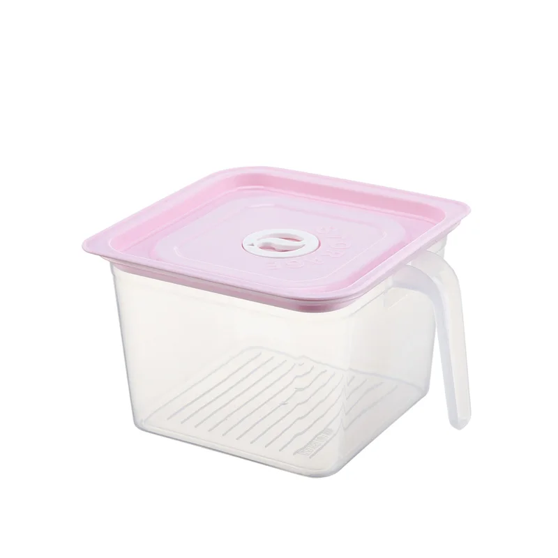 Hot Sell Portable Food Containers Boxes Plastic Handle Refrigerator Storage Box
Hot Sell Portable Food Containers Boxes Plastic Handle Refrigerator Storage Box