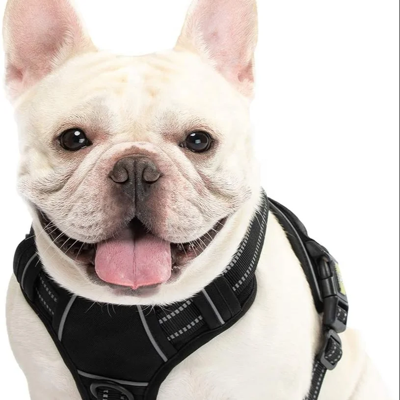 Dog Harness No Pull Reflective Comfortable Harness with Handle Fully Adjustable Pet Leash Vest for Small Medium Dogs Black M, Black,red,purple
Dog Harness No Pull Reflective Comfortable Harness with Handle Fully Adjustable Pet Leash Vest for Small Medium Dogs Black M, Black,red,purple
