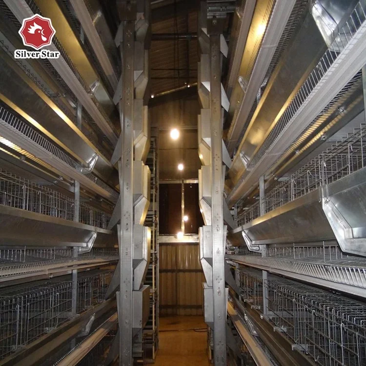 high quality chicken layer cage for sales.jpg