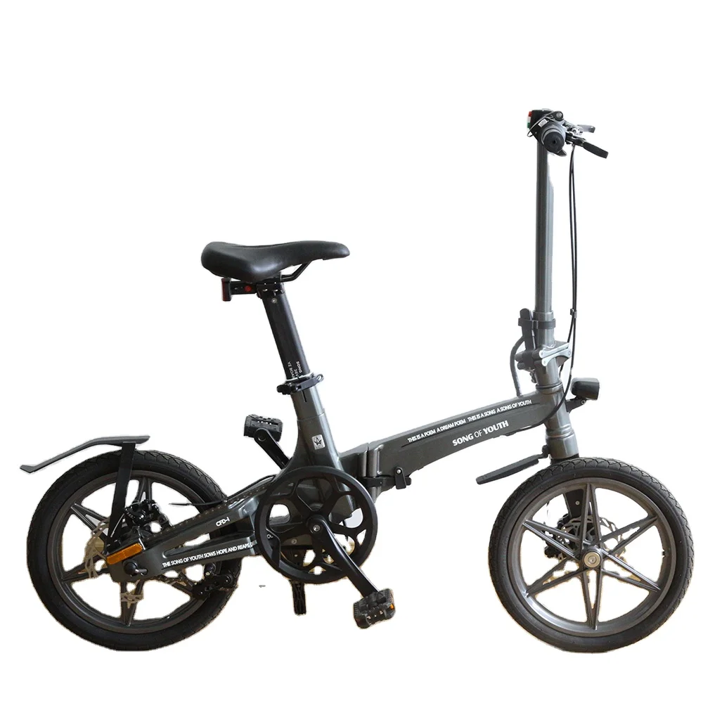 youth electric bicycle