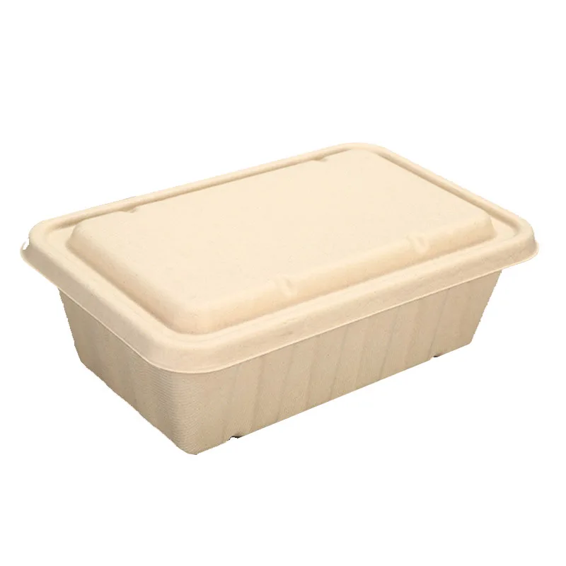 Wholesale 1000ml Lunch Box Sugarcane Bagasse Lunch Box Biodegradable Lunch Box, Black, white, red, green or customized
Wholesale 1000ml Lunch Box Sugarcane Bagasse Lunch Box Biodegradable Lunch Box, Black, white, red, green or customized