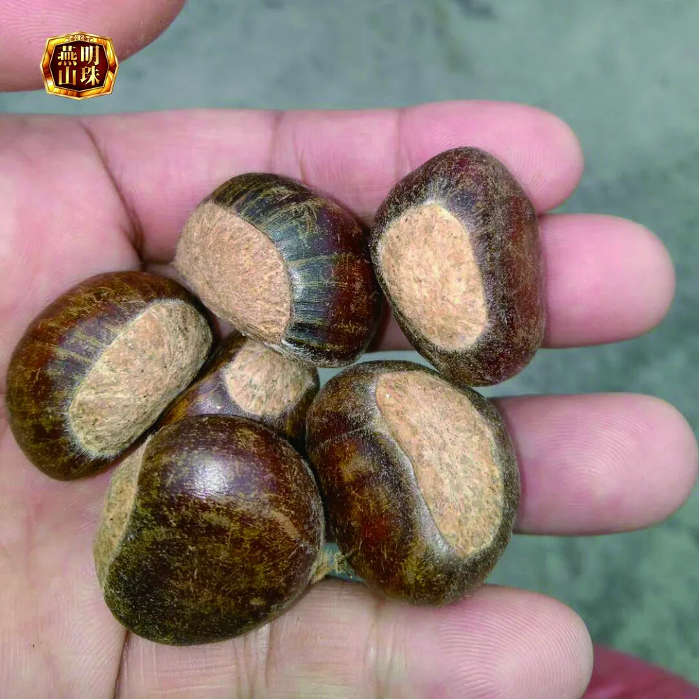 fresh chestnuts-7-1.jpg