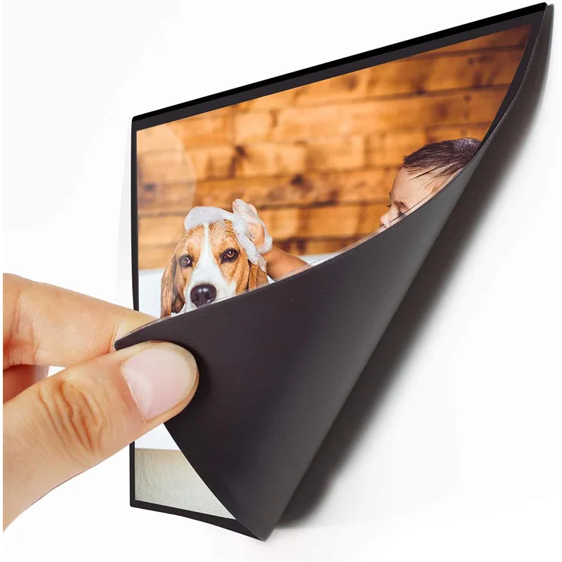 Magtoon High Quality Kid Gift Fashion Floating Pet Picture Clear Magnet Luxury Pvc Magnetic Photo Frame
Magtoon High Quality Kid Gift Fashion Floating Pet Picture Clear Magnet Luxury Pvc Magnetic Photo Frame