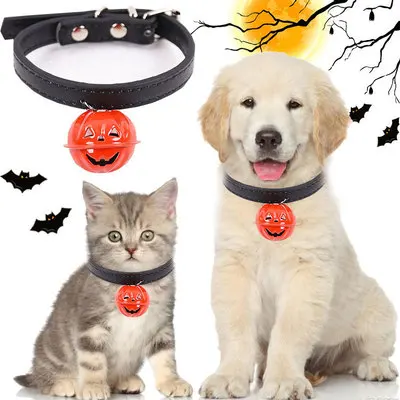 halloween pumpkin Leather dog collar bell kitty collar charms pet collars, Picture shows
halloween pumpkin Leather dog collar bell kitty collar charms pet collars, Picture shows