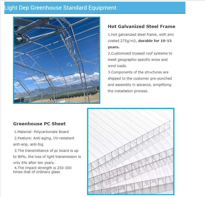 Huifa Blackout Greenhouse Automatic Four Season Light Dep Greenhouse For Sale Greenhouse Polycarbonate Agricultural