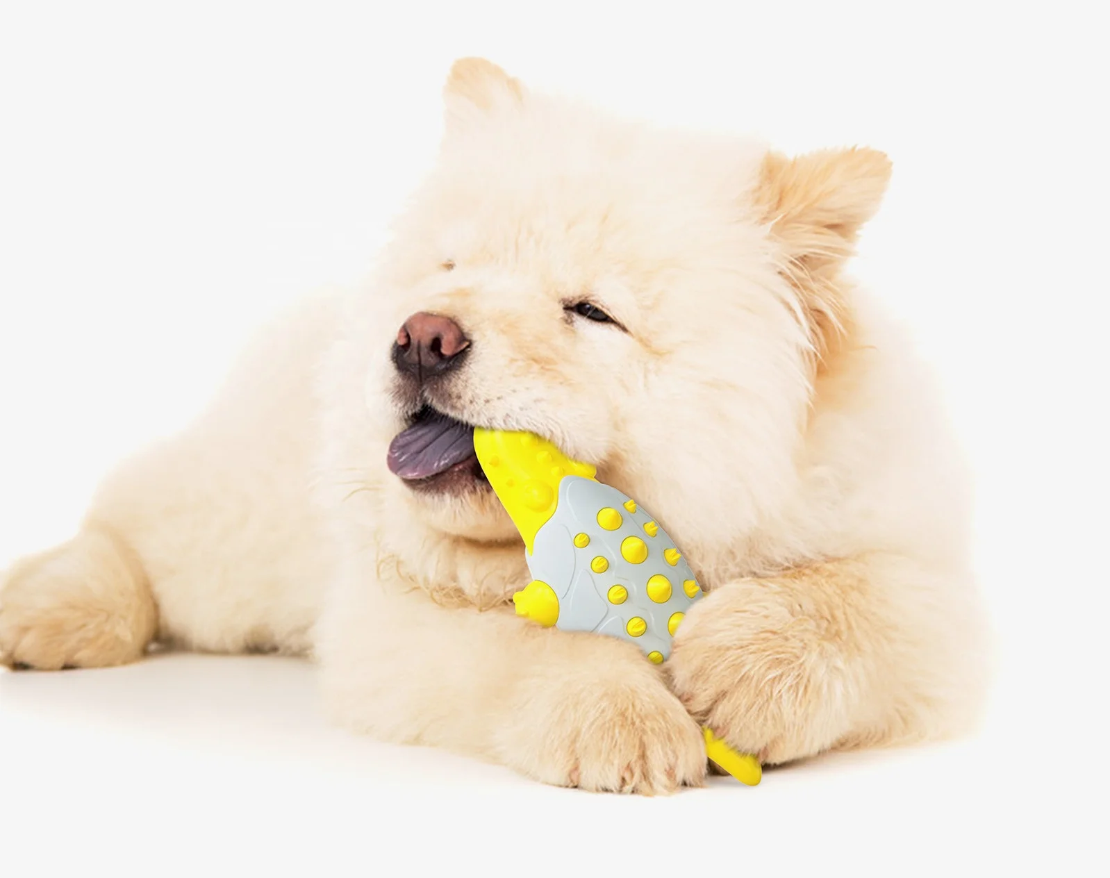 Little crocodile grinds teeth stick dog toothbrush interactive dog toys for dog chewing
Little crocodile grinds teeth stick dog toothbrush interactive dog toys for dog chewing