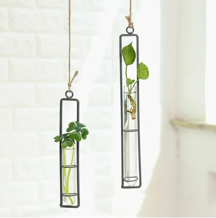Iron Transparent Hydroponics Planter Pot Hanging Flower Glass Vase For Home Ornament Decoration
Iron Transparent Hydroponics Planter Pot Hanging Flower Glass Vase For Home Ornament Decoration