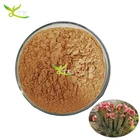Hoodia Gordonii Cactus Extract Powder Hoodia Gordonii