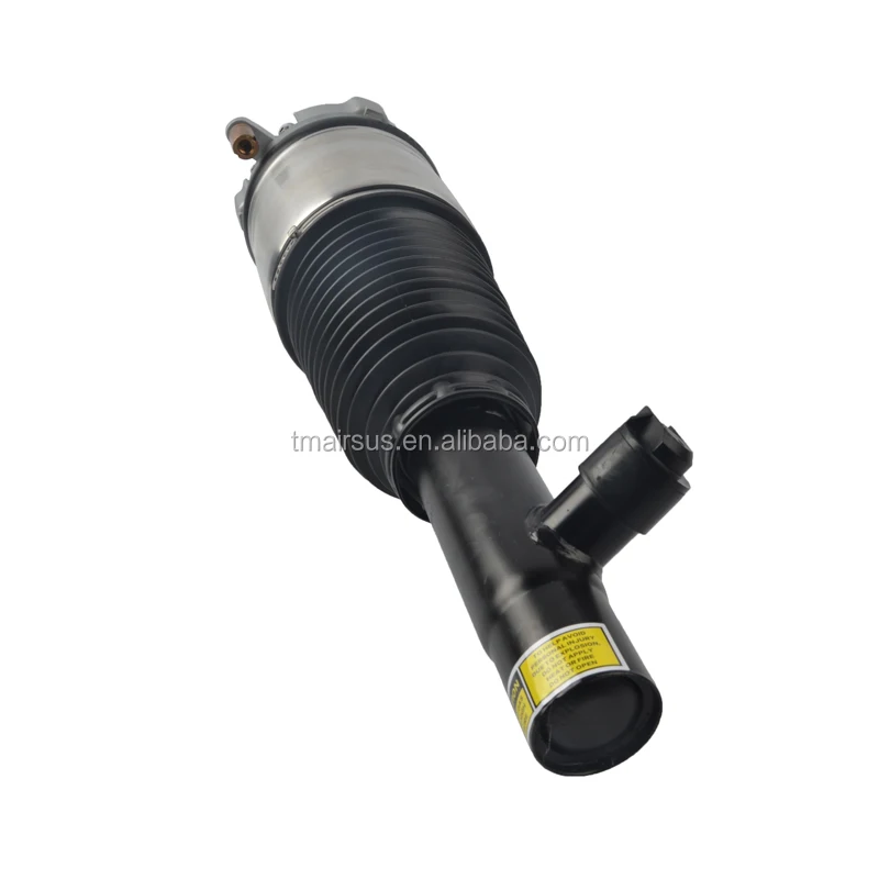 volvo air spring shock.jpg