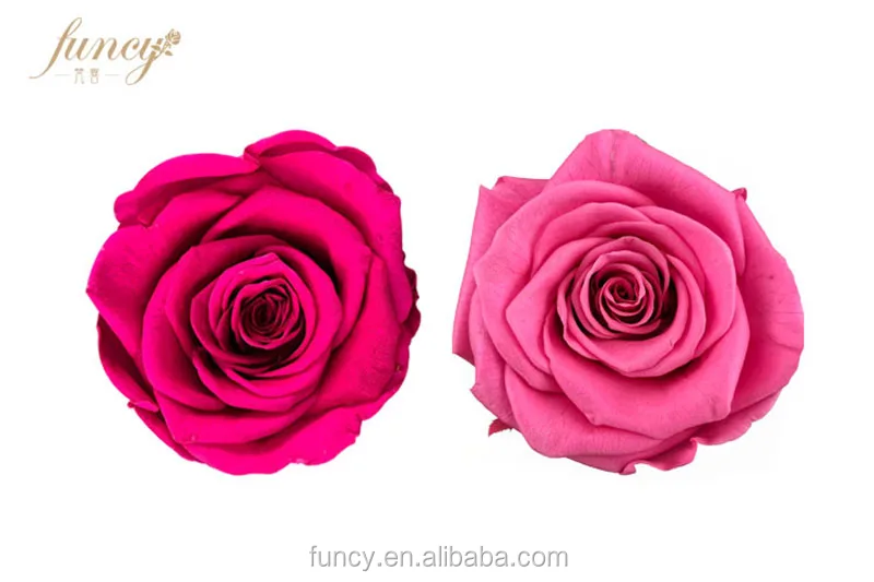 flowers & wreaths   product information name  preserved