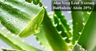 pure natural 100:1 freeze dried powder aloe vera gel 100%