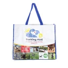 Customized Logo Promotional Pp Woven Tote Shopping Bag