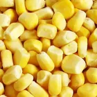 Frozen Corn Frozencorn Corn High-quality Pass KOSHER Chinese Vegetable Frozen Sweet Corn