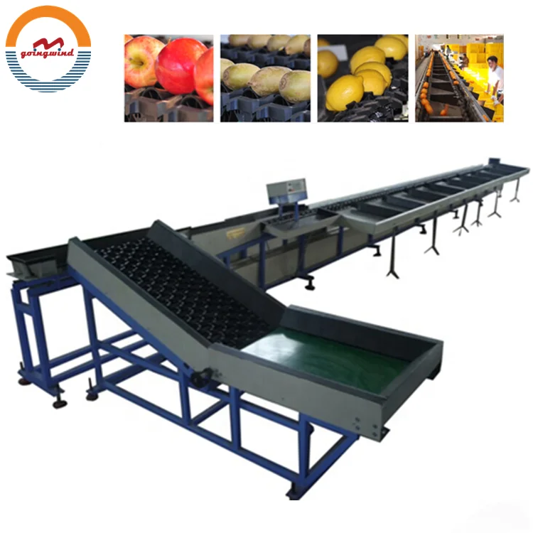 Automatic tomato grading sorting machine auto tomatoes weight sorter and grader line machines equipment cheap price for sale
