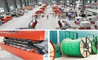 Cable Pvc Nyy 4X10mm2 Electrical Copper Xlpe 11Kv Power Cable Price