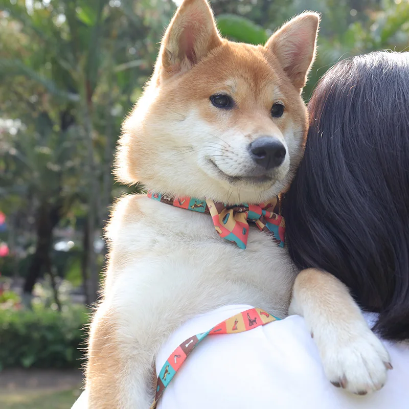 OKEYPETS Bullk Thick Strong Retractable Fashion Anti Bite Protection Dog Pet Collar With Logo, Custom
OKEYPETS Bullk Thick Strong Retractable Fashion Anti Bite Protection Dog Pet Collar With Logo, Custom