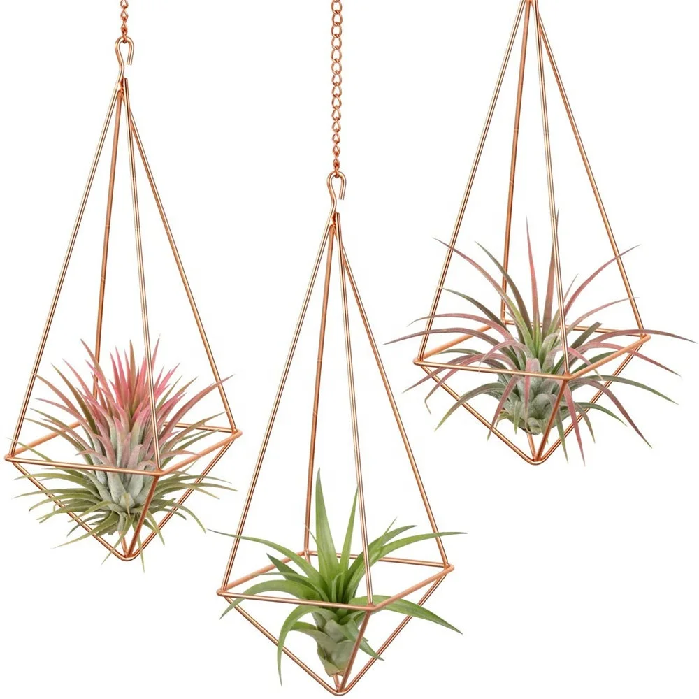 QY Customized Triangle Hanging Iron Art Geometric Air Flower Stand Metal Hollow Soilless Flower Pot Simple Flower Stand
QY Customized Triangle Hanging Iron Art Geometric Air Flower Stand Metal Hollow Soilless Flower Pot Simple Flower Stand