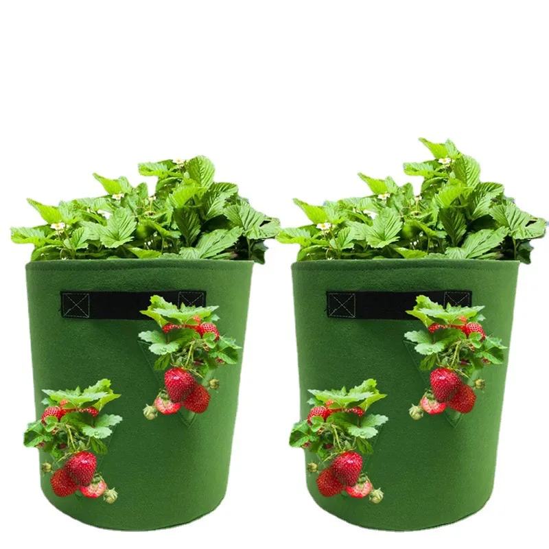 BB021 Home Gardening Planting Non-woven Felt Hanging Plant Growth Bag Breathing Holes Vegetable Garden Flowers Plants Bag, Multi colour
BB021 Home Gardening Planting Non-woven Felt Hanging Plant Growth Bag Breathing Holes Vegetable Garden Flowers Plants Bag, Multi colour