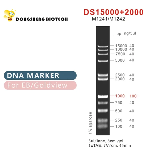 ds15000 2000 dna marker, oem