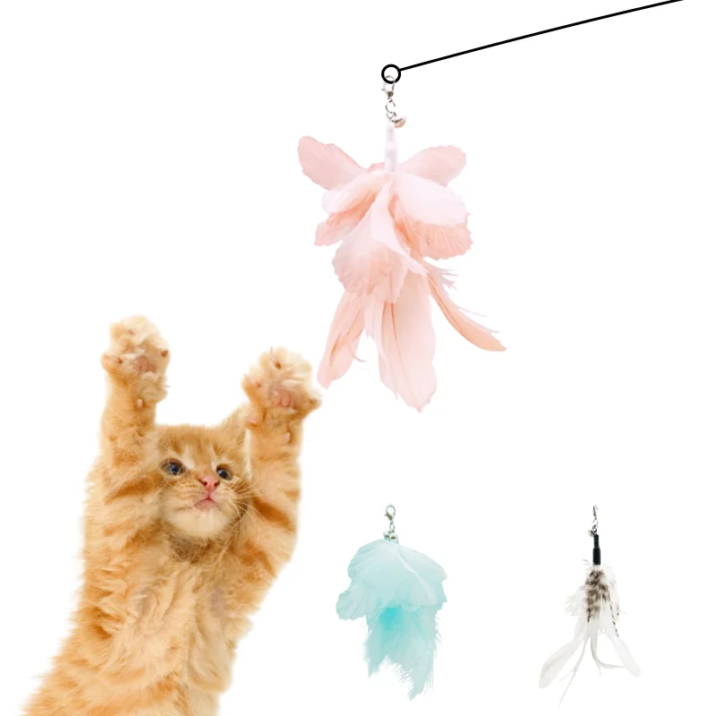 Flying Bird Cat Toy Fairy Series Colorful Feather Cat Funny Stick Replaceable Headband Bell
Flying Bird Cat Toy Fairy Series Colorful Feather Cat Funny Stick Replaceable Headband Bell
