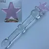 /product-detail/pyrex-glass-dildo-penis-for-lesbian-prostate-g-spot-massager-sex-toy-for-women-62230099968.html