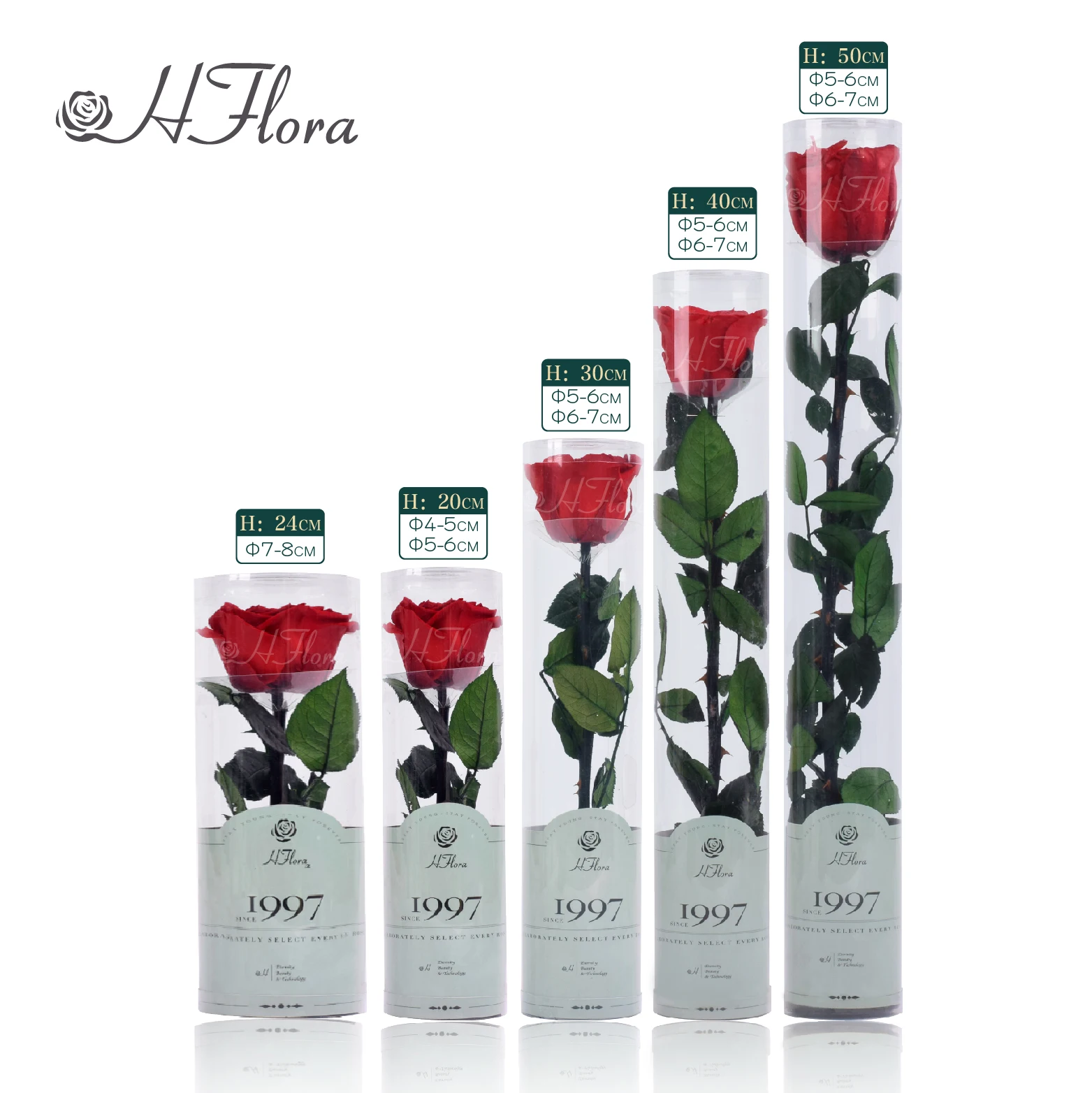 Hflora Factory Supply Wholesale Decorative flowers Preserved Rose with Stem/Long Stem for Wedding bouquet Valentine's Day Gift
Hflora Factory Supply Wholesale Decorative flowers Preserved Rose with Stem/Long Stem for Wedding bouquet Valentine's Day Gift