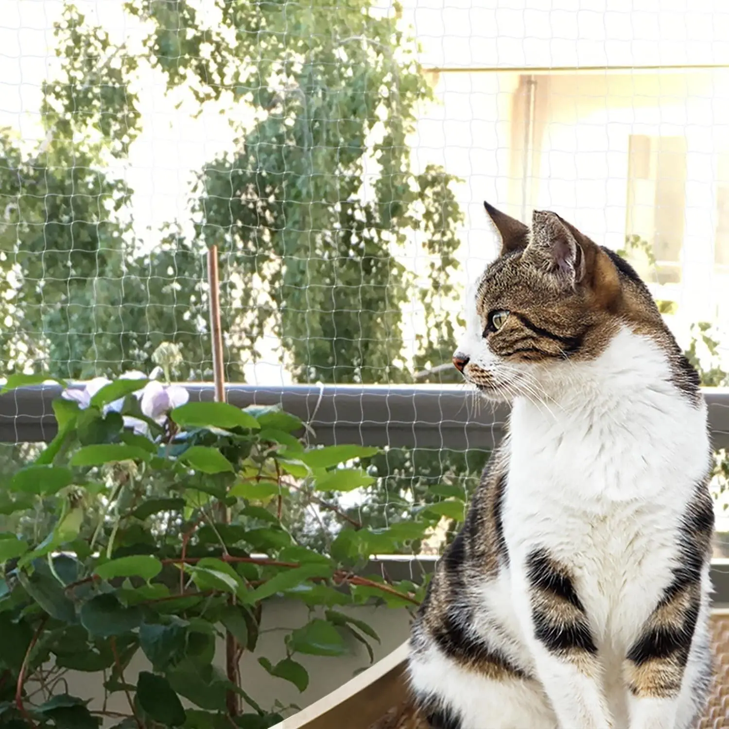 Balcony Cat Safety Net Nylon Protection Transparent Protective with Fixing Rope Hooks Dowel Pins, White
Balcony Cat Safety Net Nylon Protection Transparent Protective with Fixing Rope Hooks Dowel Pins, White