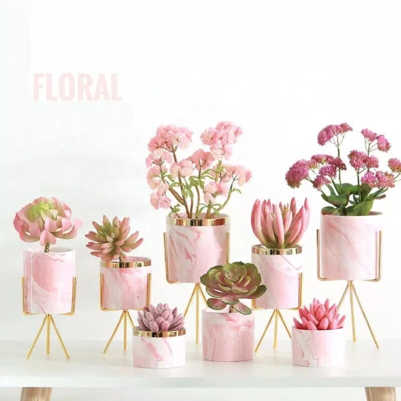 Hot sale Amazon nordic style ins design marble pot ceramic succulent flower plant pots pink marble flower pot, 4colors
Hot sale Amazon nordic style ins design marble pot ceramic succulent flower plant pots pink marble flower pot, 4colors