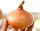 Fresh Chinese Onion Quality fresh yellow onion vegetables new crop for wholes
