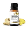 /product-detail/private-label-100-pure-natural-organic-massage-ginger-essential-oil-perfect-for-aromatherapy-relaxation-skin-therapy-62021983432.html
