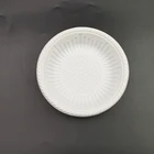 clear lid disposable custom 9" 9.5 big plastic plates