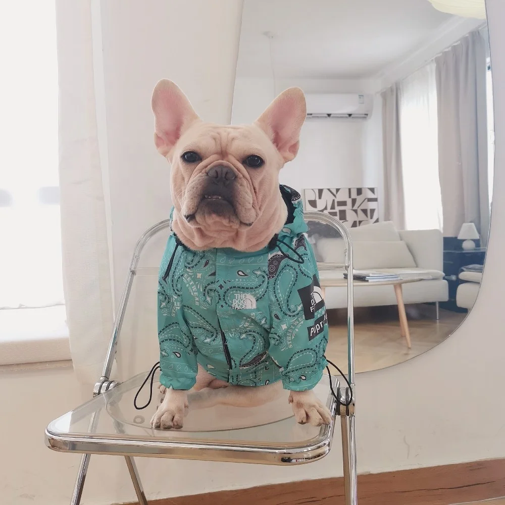 Low Price Pet Apparel Waterproof And Rainproof Dog Clothes Fashion Pet Clothes For Small Pet, Blue red
Low Price Pet Apparel Waterproof And Rainproof Dog Clothes Fashion Pet Clothes For Small Pet, Blue red