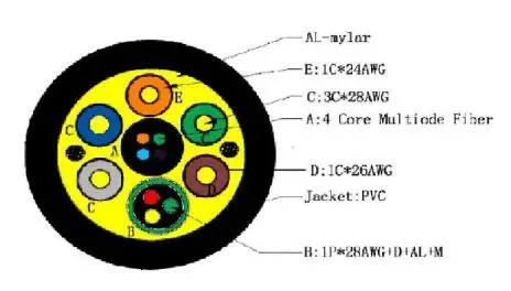 structure  (1).jpg