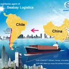 ocean sea freight forwarder from china to chile