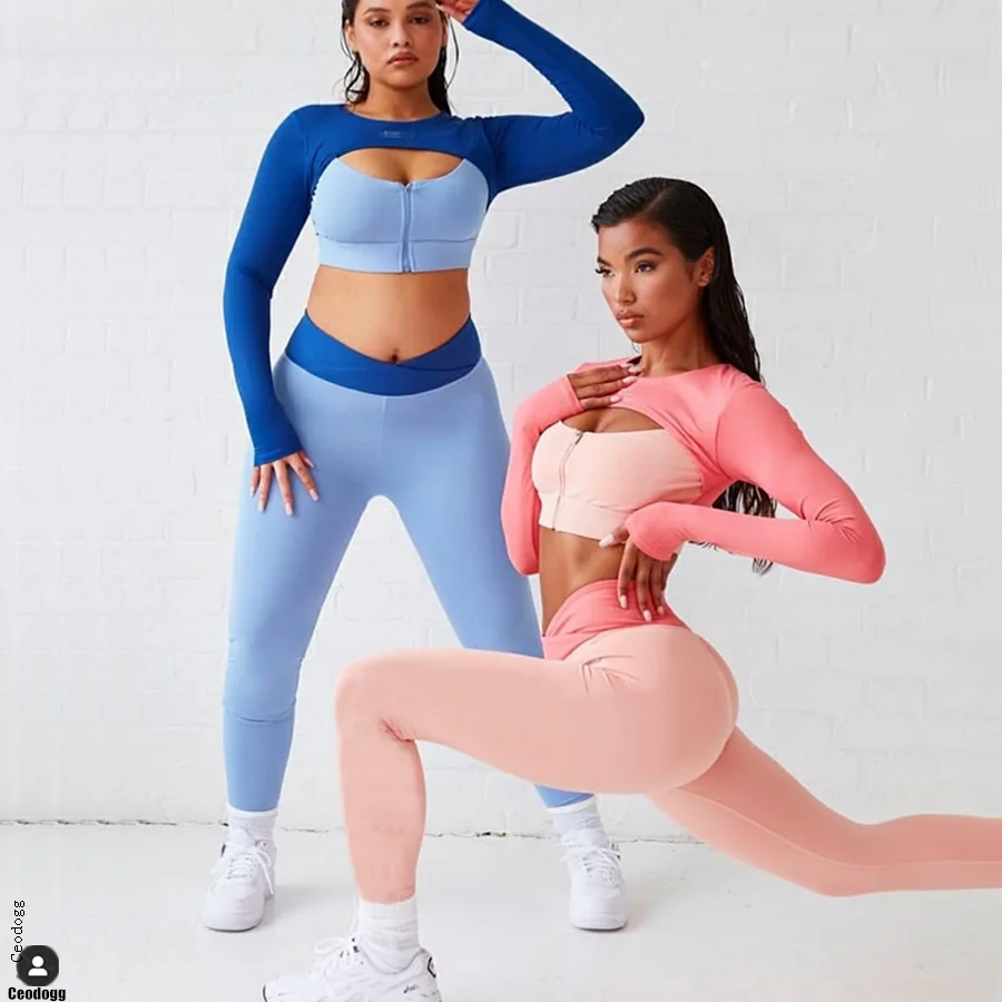 New arrival gym sport front full zipper bra long sleeve crop top and layered running shorts yoga 2 piece set
New arrival gym sport front full zipper bra long sleeve crop top and layered running shorts yoga 2 piece set