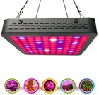 Super Bright Indoor Garden Greenhouse Plant 300w 600w Full Spectrum Led Grow Light