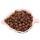 Garden LECA Expanded Clay Pebbles / Horticultural Grade For Soil Hydroponics Aquaponics