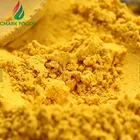 Dried pumpkin powder 100-120mesh with ISO,FDA, HACCP certificates