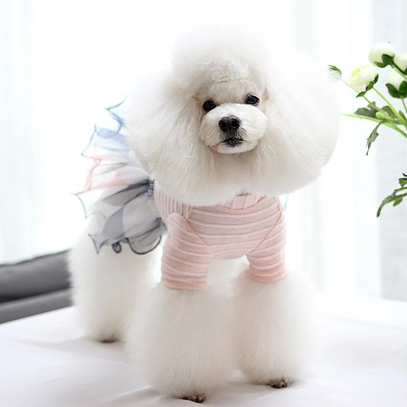 Pet appare pet dog clothes Luxurious lace candy-colored pet dress for small female dogs fashion design cat dog dress
Pet appare pet dog clothes Luxurious lace candy-colored pet dress for small female dogs fashion design cat dog dress